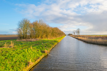 Obraz premium Shore of a canal meandering in a rural landscape in sunlight in winter