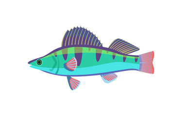 Colorful Fish Type Closeup Vector Illustration