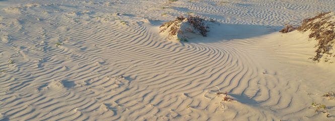 Sandy Beach on the California Coast