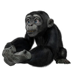 baby chimpanzee cartoon in a white background
