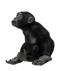 Obraz premium baby chimpanzee cartoon in a white background