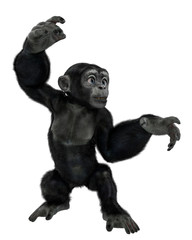 baby chimpanzee cartoon in a white background