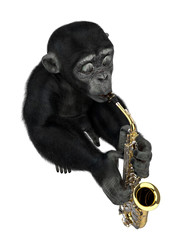 baby chimpanzee cartoon in a white background