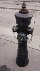 Fototapeta premium Fire hydrant on the street of Vienna.