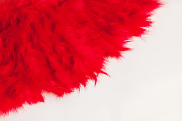 Beautiful red feathers on a white background