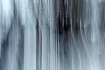 Fototapeta na wymiar an abstraction of an snowy forest in winter in Siberia