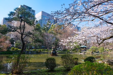 Obraz premium 春の日比谷公園