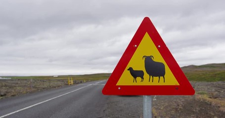 Iceland Sheep Road Sign on the Famous Ring Road aka Route 1, a destination for Icelandic road trip for tourists visiting Iceland.