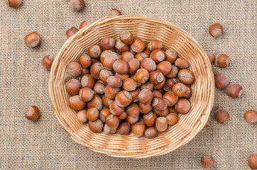 Hazelnut in peel on a light burlap.