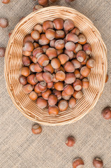 Hazelnut in peel on a light burlap.