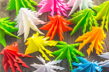 Colorful paper origami trees on a wooden surface. Top view.