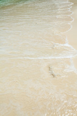a sand beach on the Koh Racha Yai island in Thailand at the Phuket