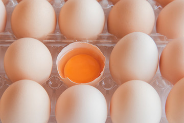  eggs isolated extra on white tray,Special differences concept