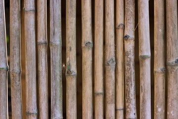 background of bamboo