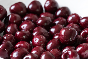 cherries on white background