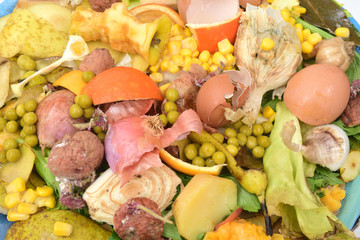 recycling for compost fruits,vegetables and egg