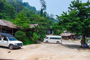 an elephant safari among thai jungles