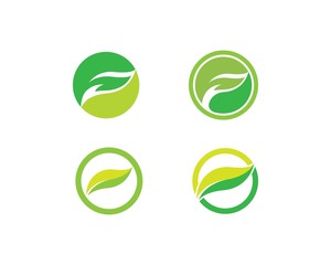 Eco Tree Leaf Logo Template illustration