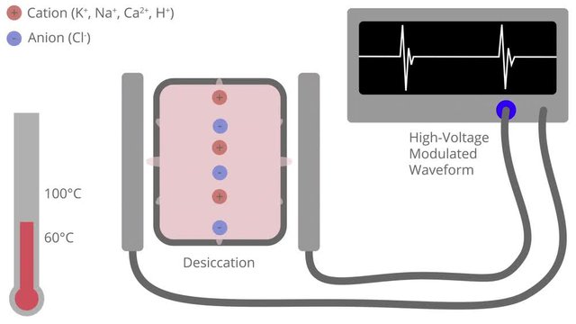 Electrosurgery Conversion of Radiofrequency Energy to Heat for Desiccation Animation with International Labeling