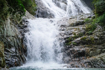 Obraz premium すさみ町 雫ノ滝