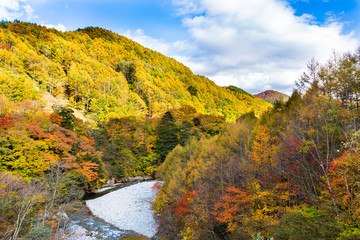 紅葉の山中を流れる川