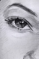 eye pencil drawing. sketch. graphics