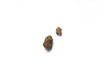 Marijuana buds