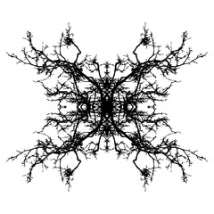 Leafless branch mandala