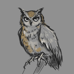 Sketch style illustration with owl. Cute little owl character. Bird creature.