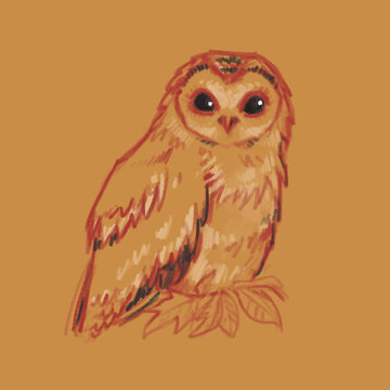 Sketch style illustration with owl. Cute little owl character. Bird creature.