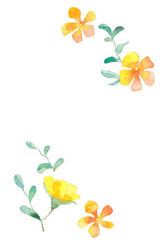 Fototapeta 野花、黄色