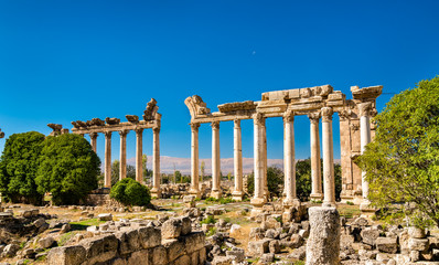 Fototapeta premium Ruins of Bustan al-Khan at Baalbek, Lebanon