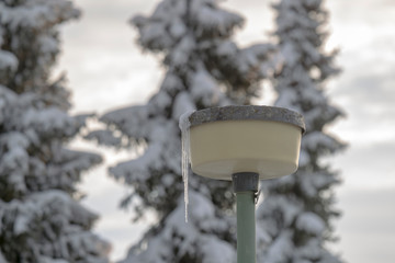 snow-covered street lamp with icicles in front of snowy trees in winter