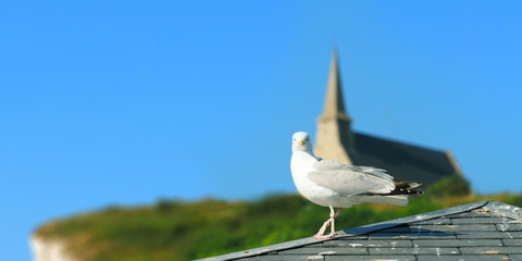 Seagull on the roof of medieval house in the background of a panoramic picturesque landscape of...