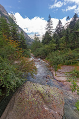 Fototapeta na wymiar Among the coniferous vegetation, the impetuous waters of the river flows among the stones, in the verdant Valle Quarazza, on the slopes of the Monre Rosa in Piedmont, Italy.