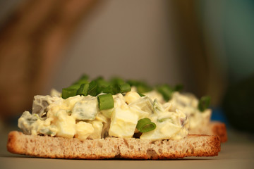 fresh vegetarian toast