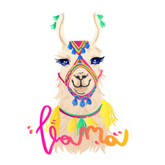 Llama slogan. Lama with decorations. Typography graphic print, fashion drawing for t-shirts .Vector stickers,print, patches vintage