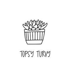 Topsy Turvy succulent plant in decorative pot in doodle style with a handwritten title