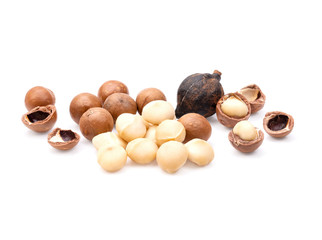 Macadamia nuts, isolated on white background. Shelled and unshelled macadamia.