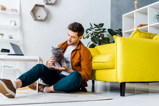 Handsome Man With British Shorthair Cat Sitting On Floor In Living Room