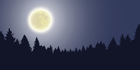 moon shine forest landscape by night vector illustration EPS10