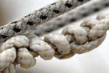 Clothesline tied in knots. Shallow depth of field