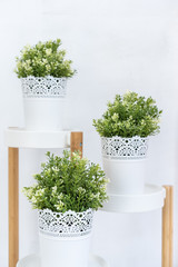 White flower pot with bright green fake trees