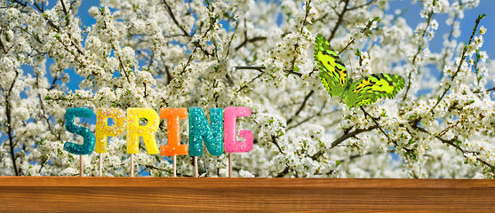 word summer on blossoming tree background