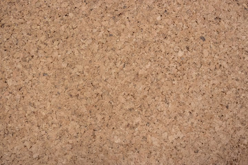 Textured background from plywood surface. Very large seamless texture of wooden material