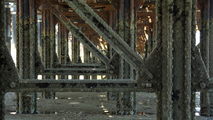 Barnacles on the ironwork under the Victorian pier at low tide