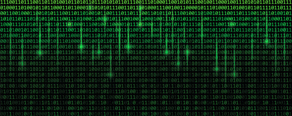 green matrix binary code web background vector illustration EPS10