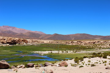 Reserva nacional de fauna andina Eduardo Abaroa