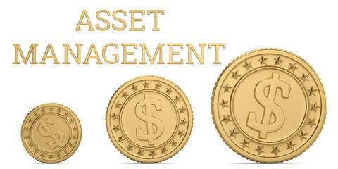 Asset management word and gold coins on white background. 3D illustration.