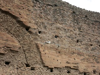 イタリア　フォロ・ロマーノ　italia　Foro Romano